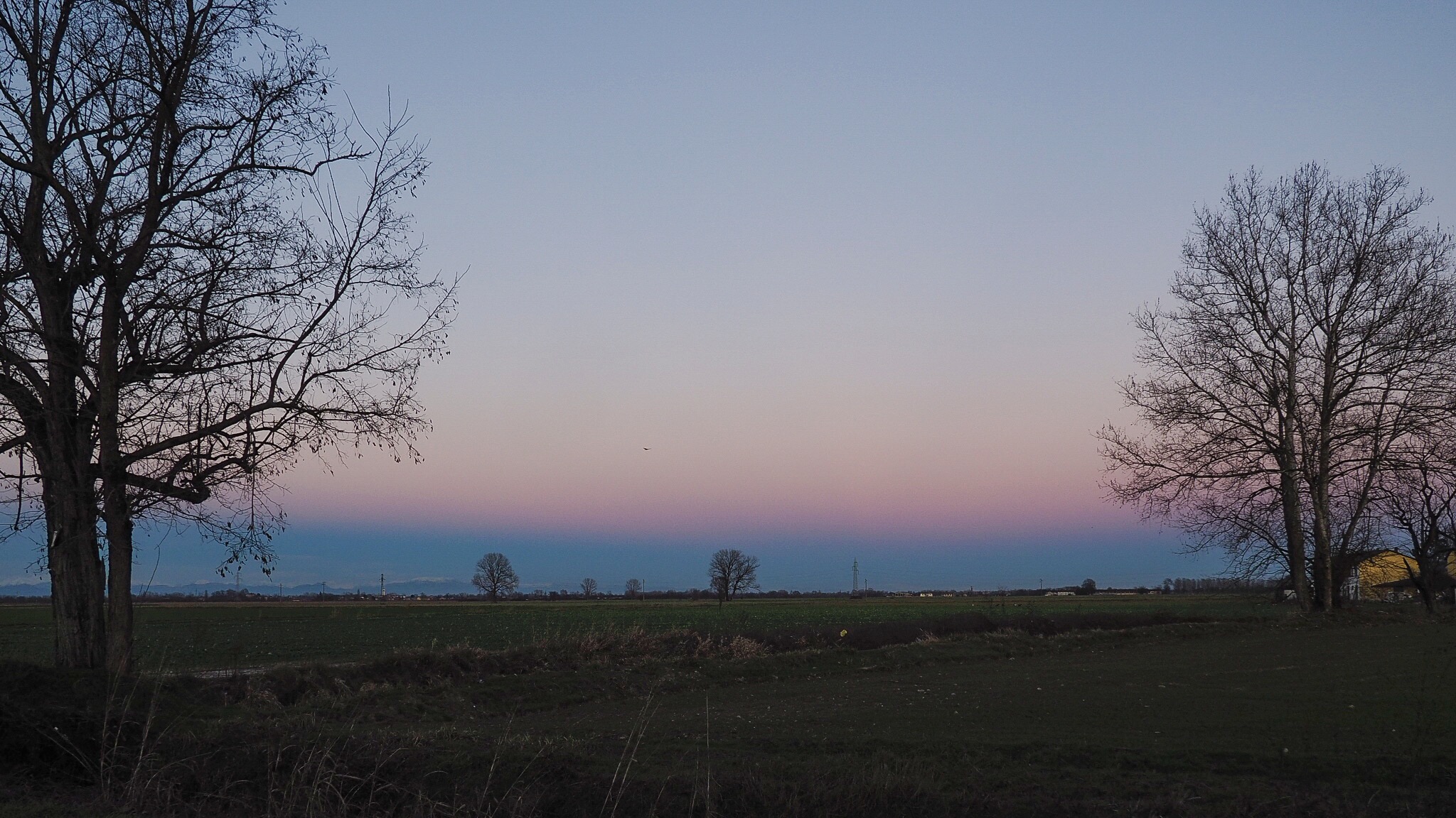 Trees...