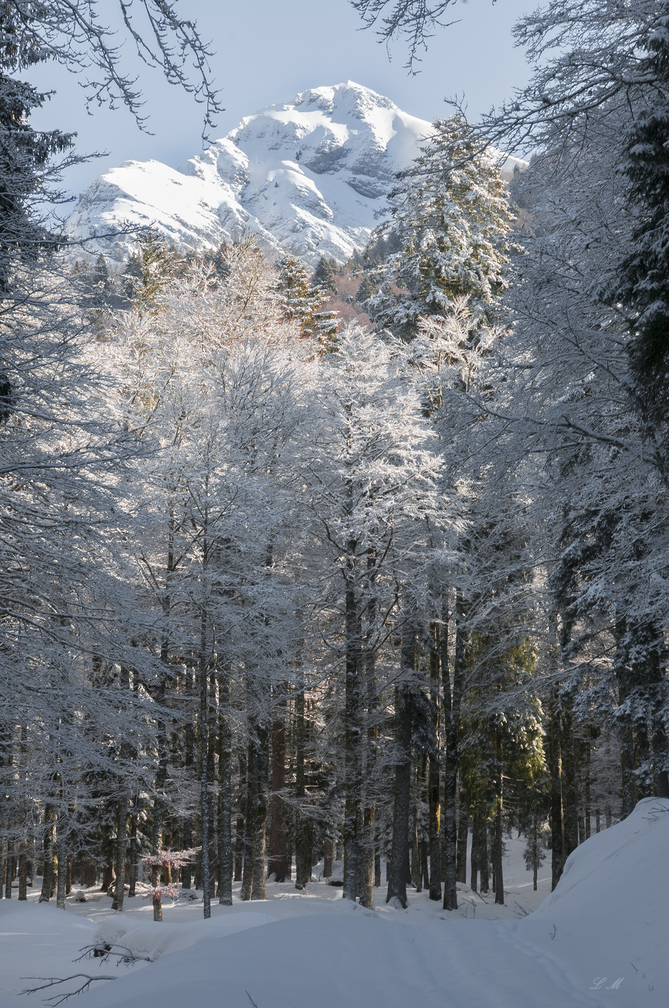 verso il monte cavallo...