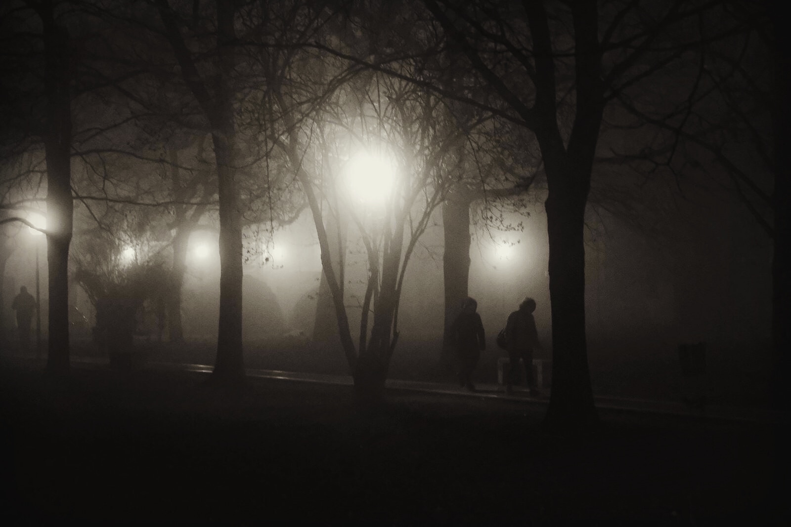 The fog between the street lamps...