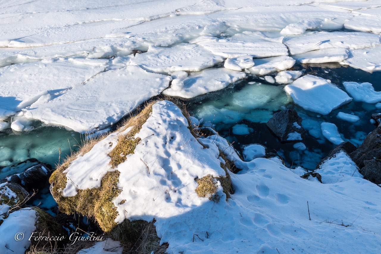 Ice on the water...