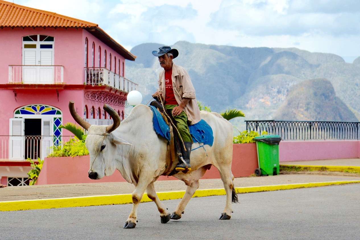 Campesino in Vinales (Cuba)...