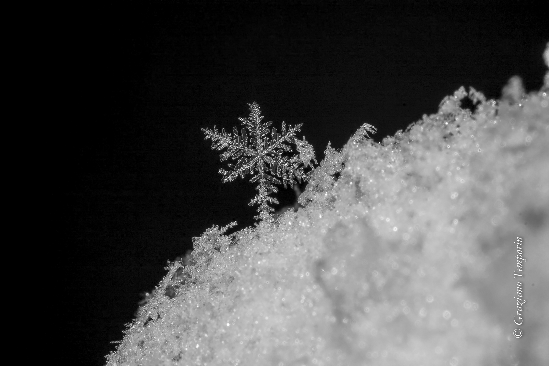 The forms of water (snowflake)...