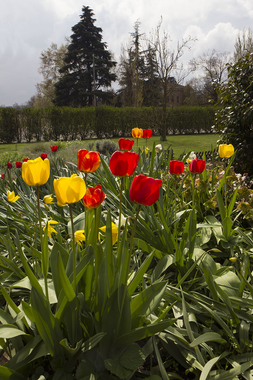 Luce di primavera...