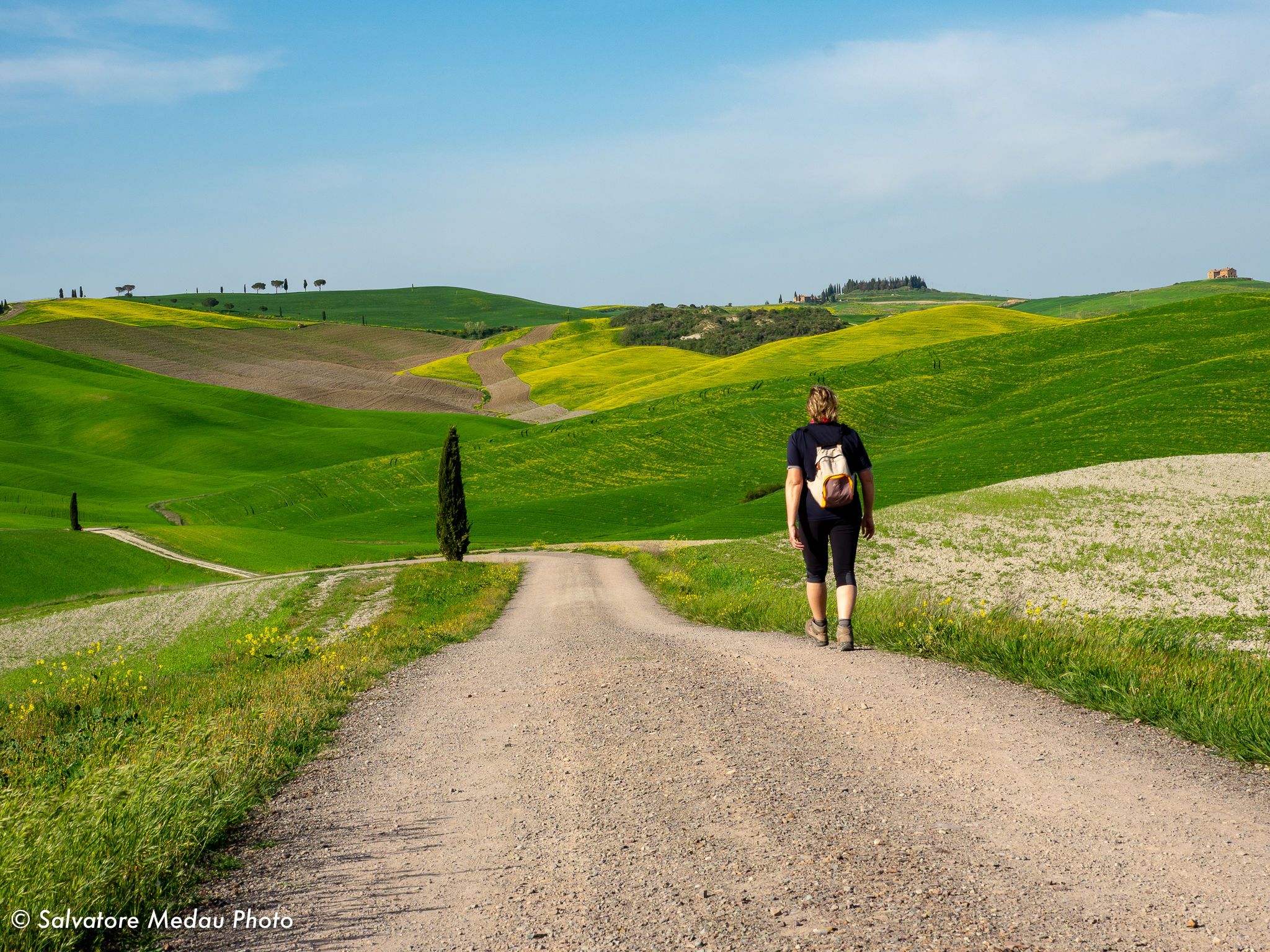 In the hills of Val d'Orcia...