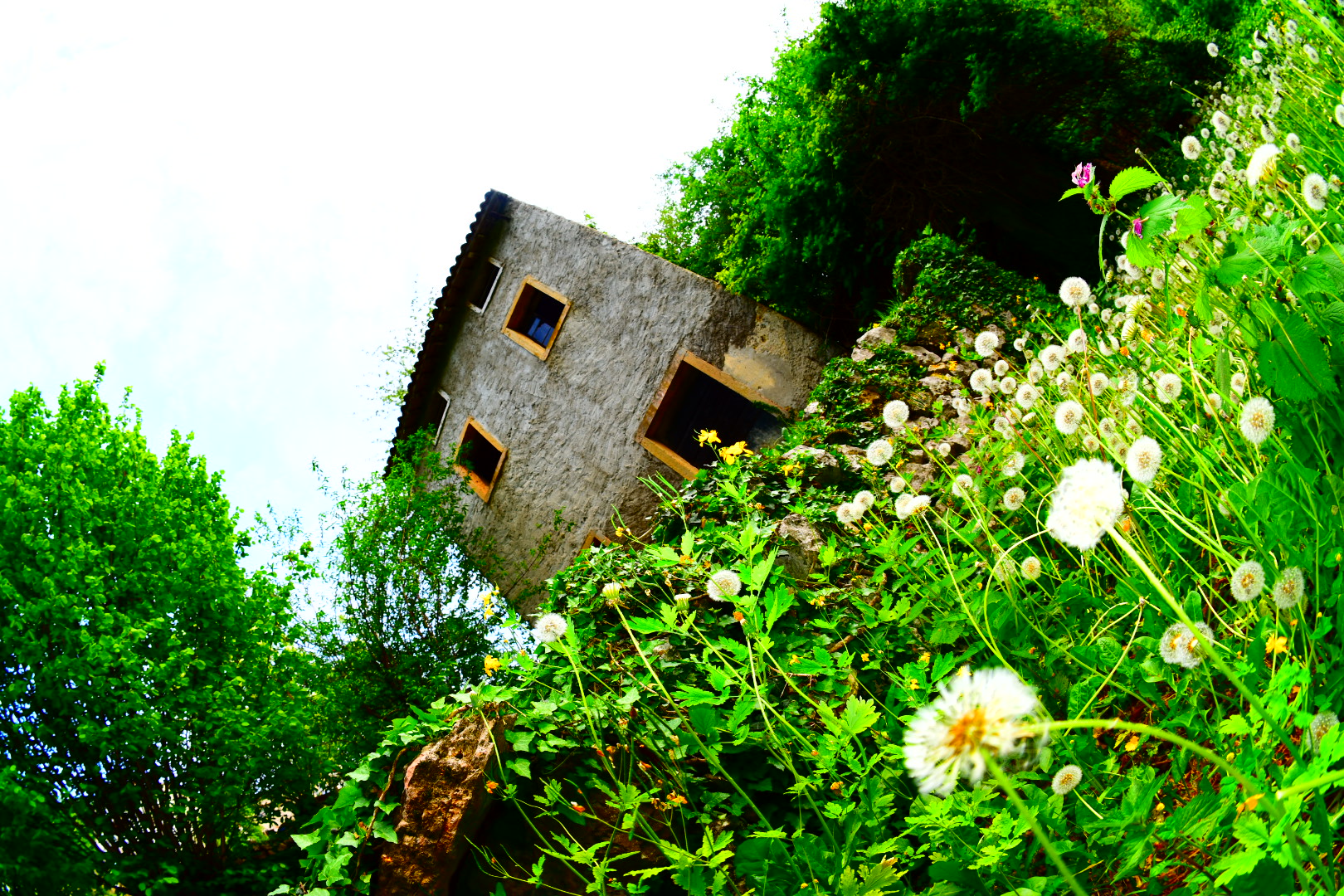 Lungo la valle dei mulini...