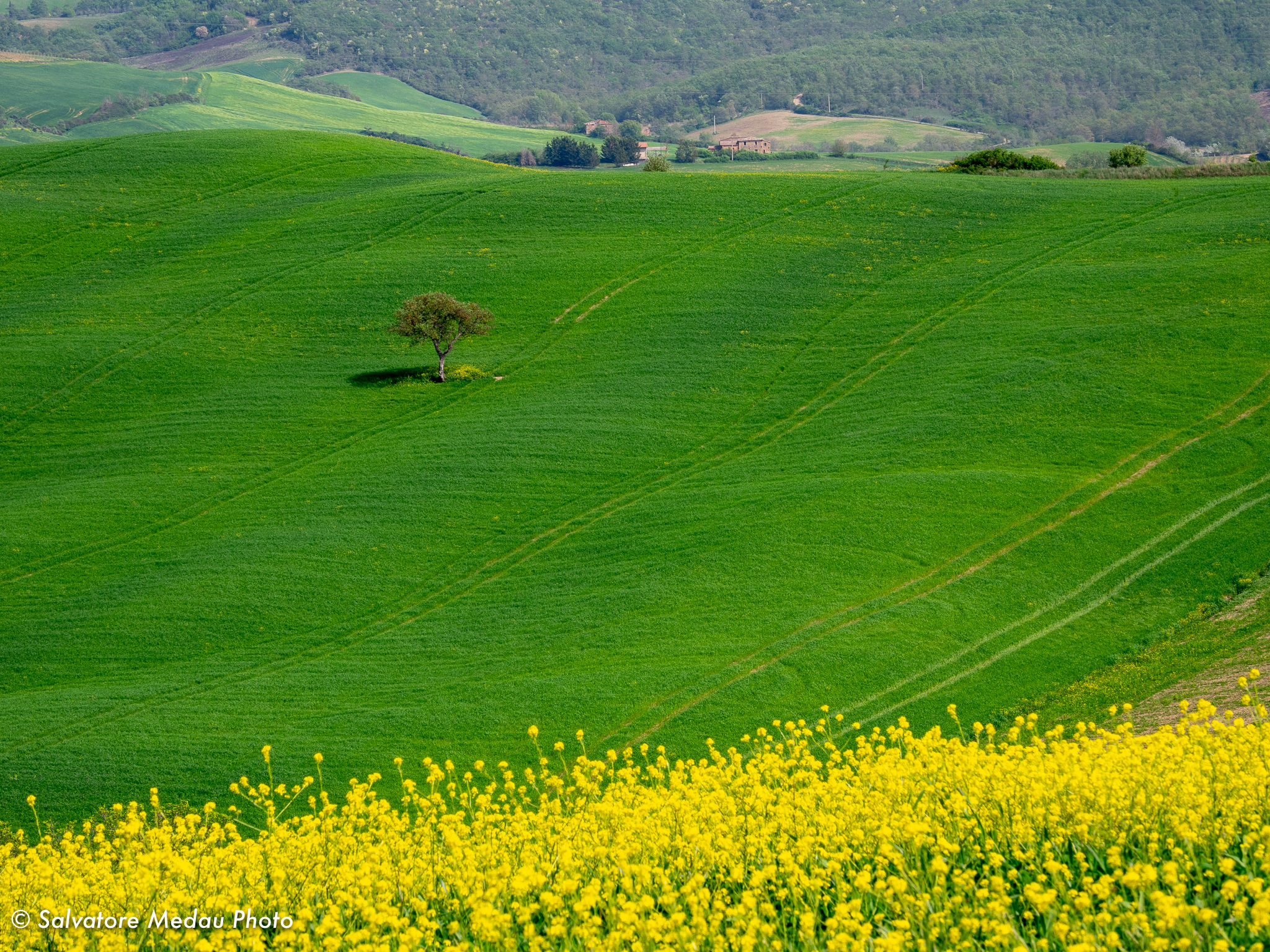 Colline in Val d'Orcia...
