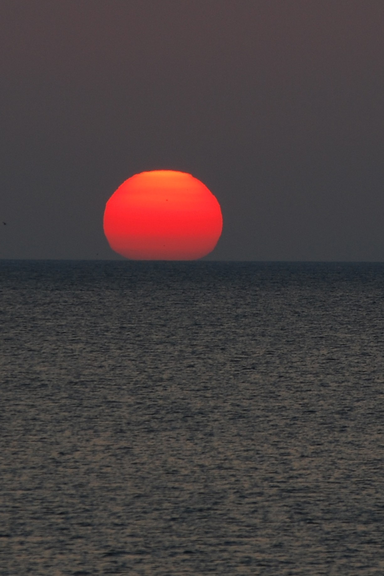 dawn .... ...