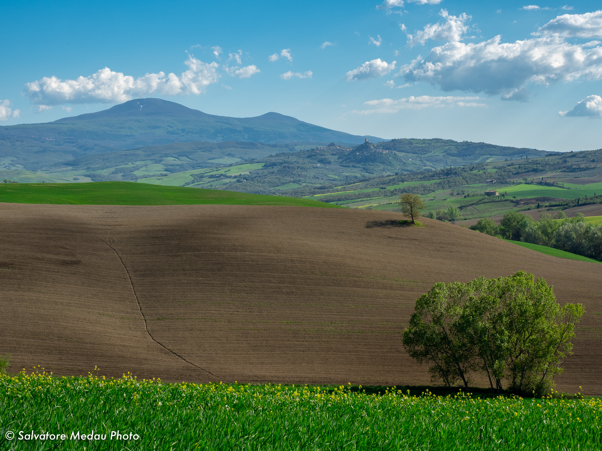 Colline in Val d'Orcia...