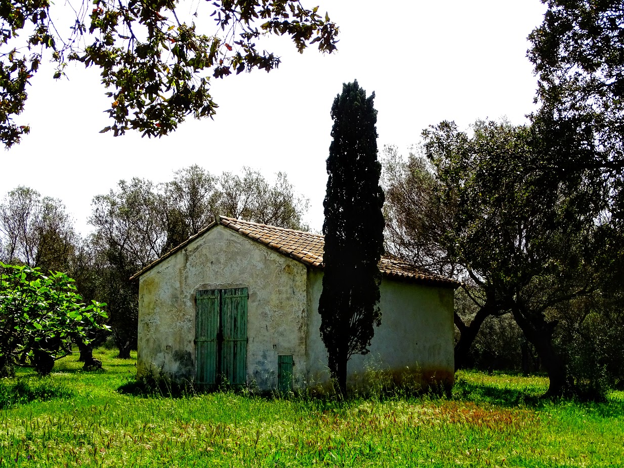 Casa solitaria sull'isola di Porquerolles...
