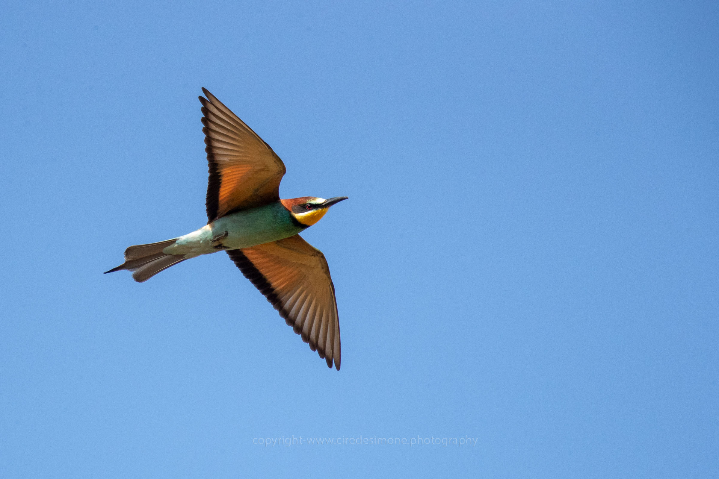 In Flight...