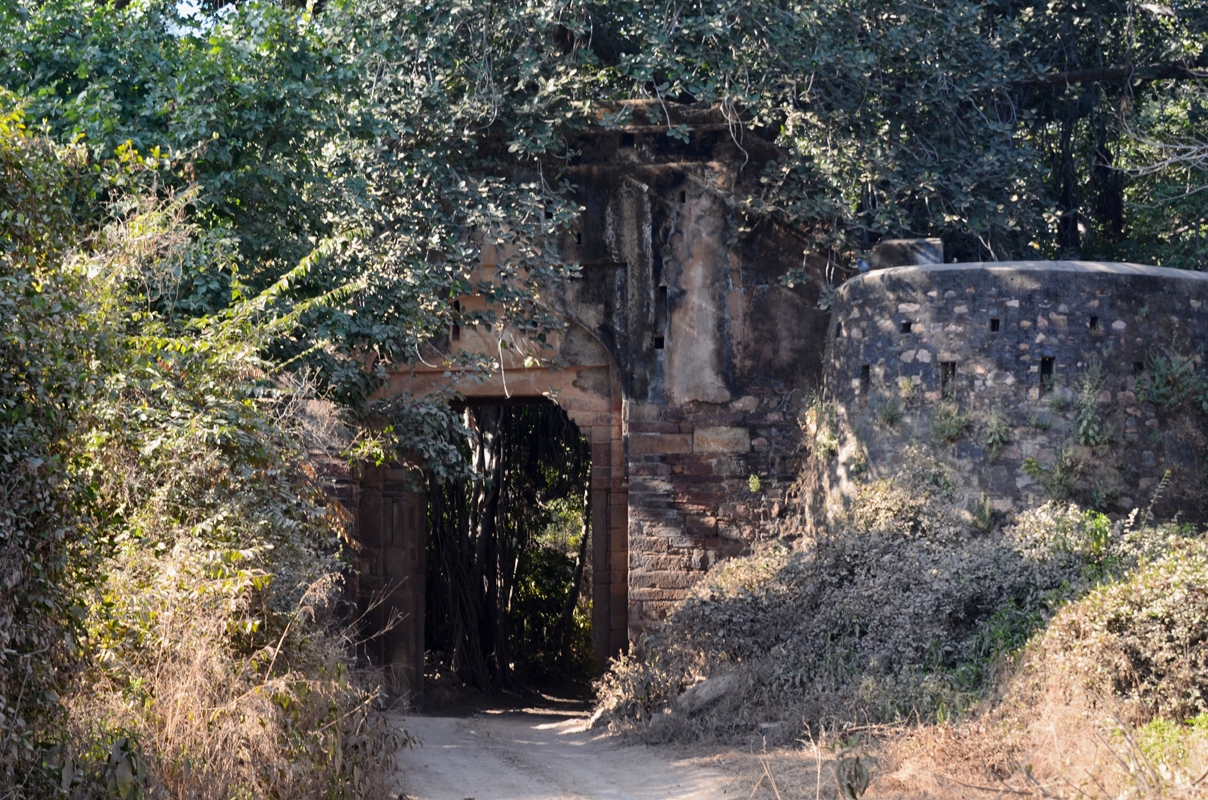 Bad Gate Ranthambore...