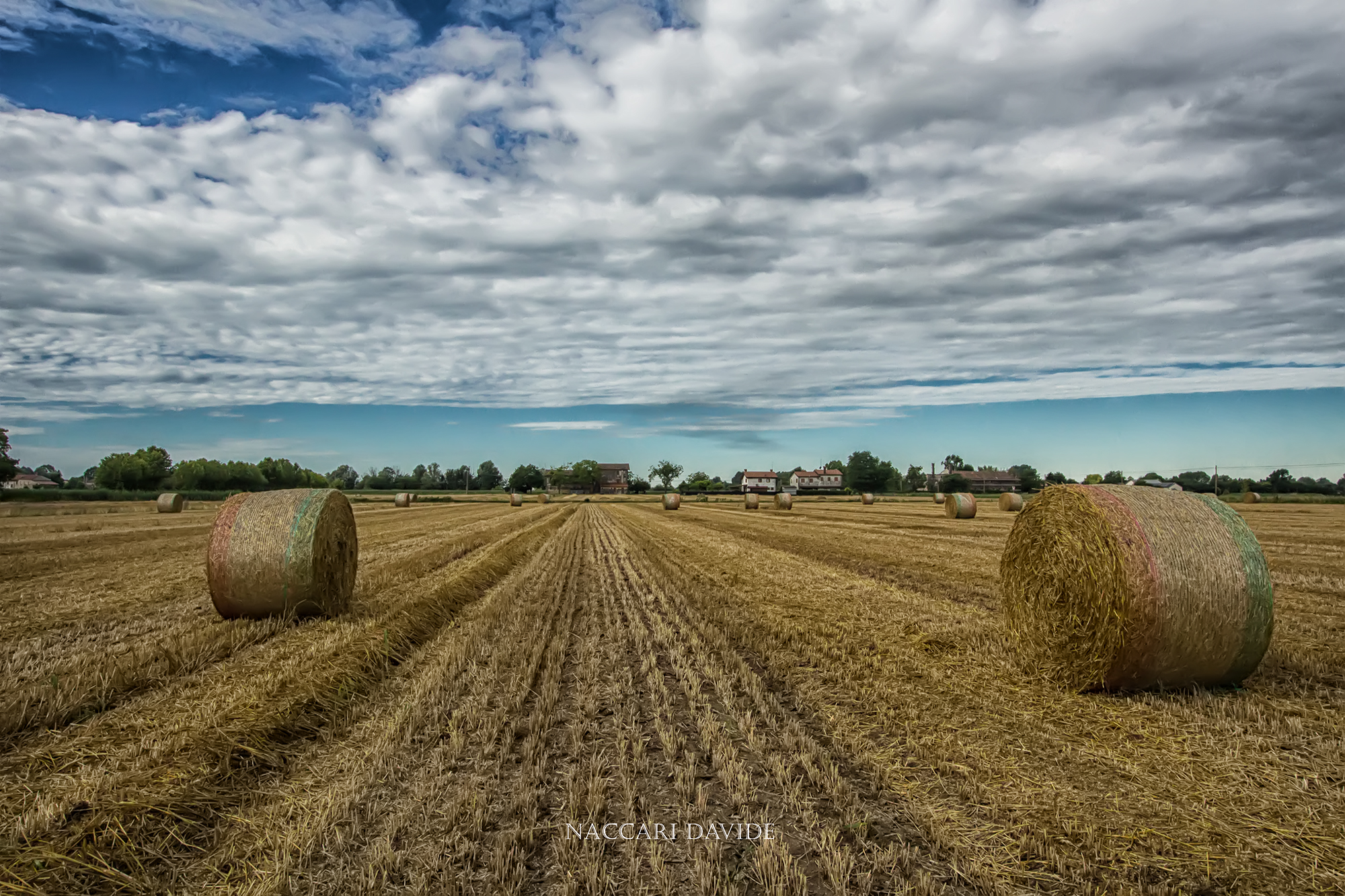 National Bales ...