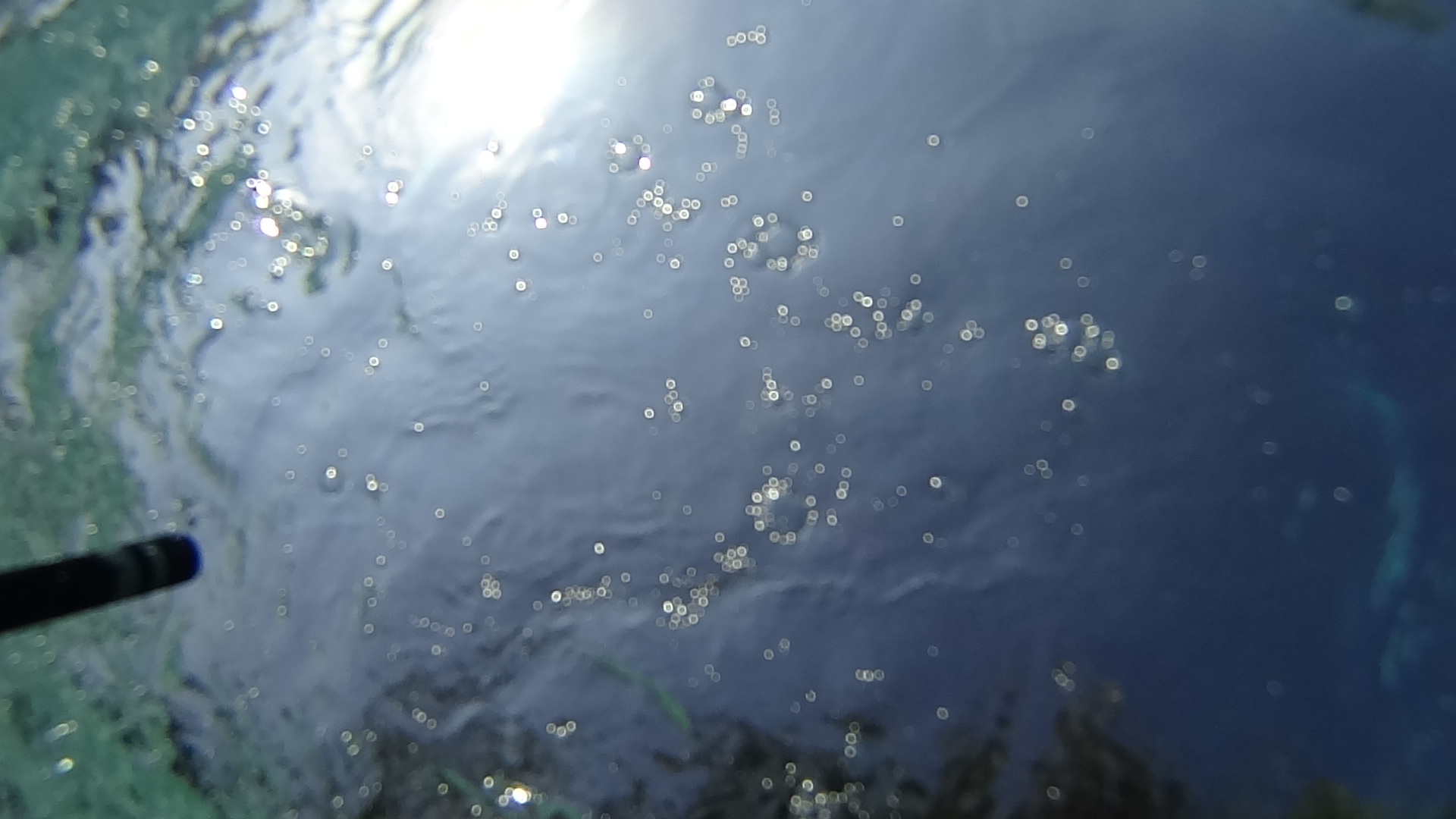 At the bottom of the PISCINA1...