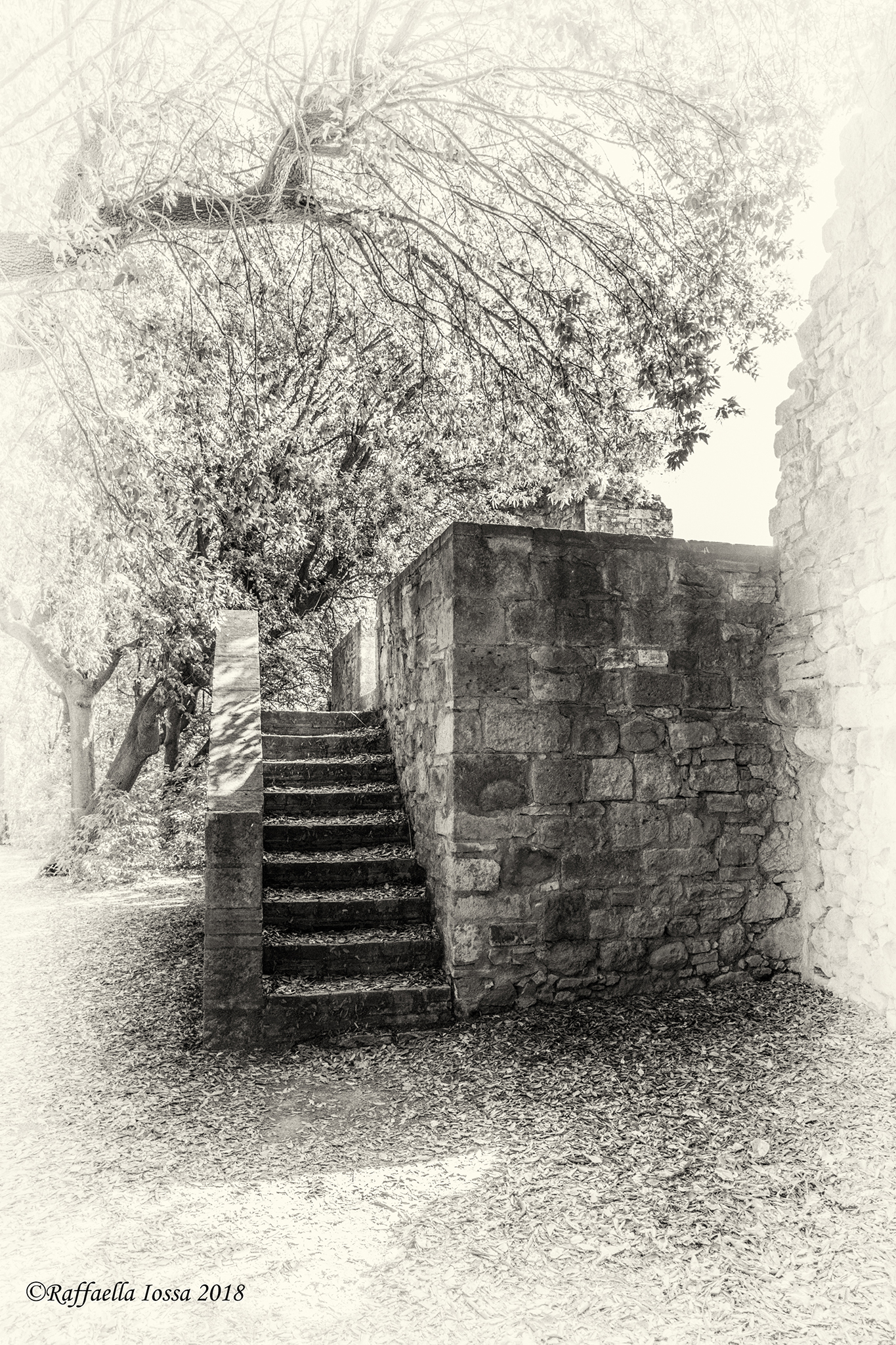 San Quirico d'orcia, Horti Leoni's internal park...