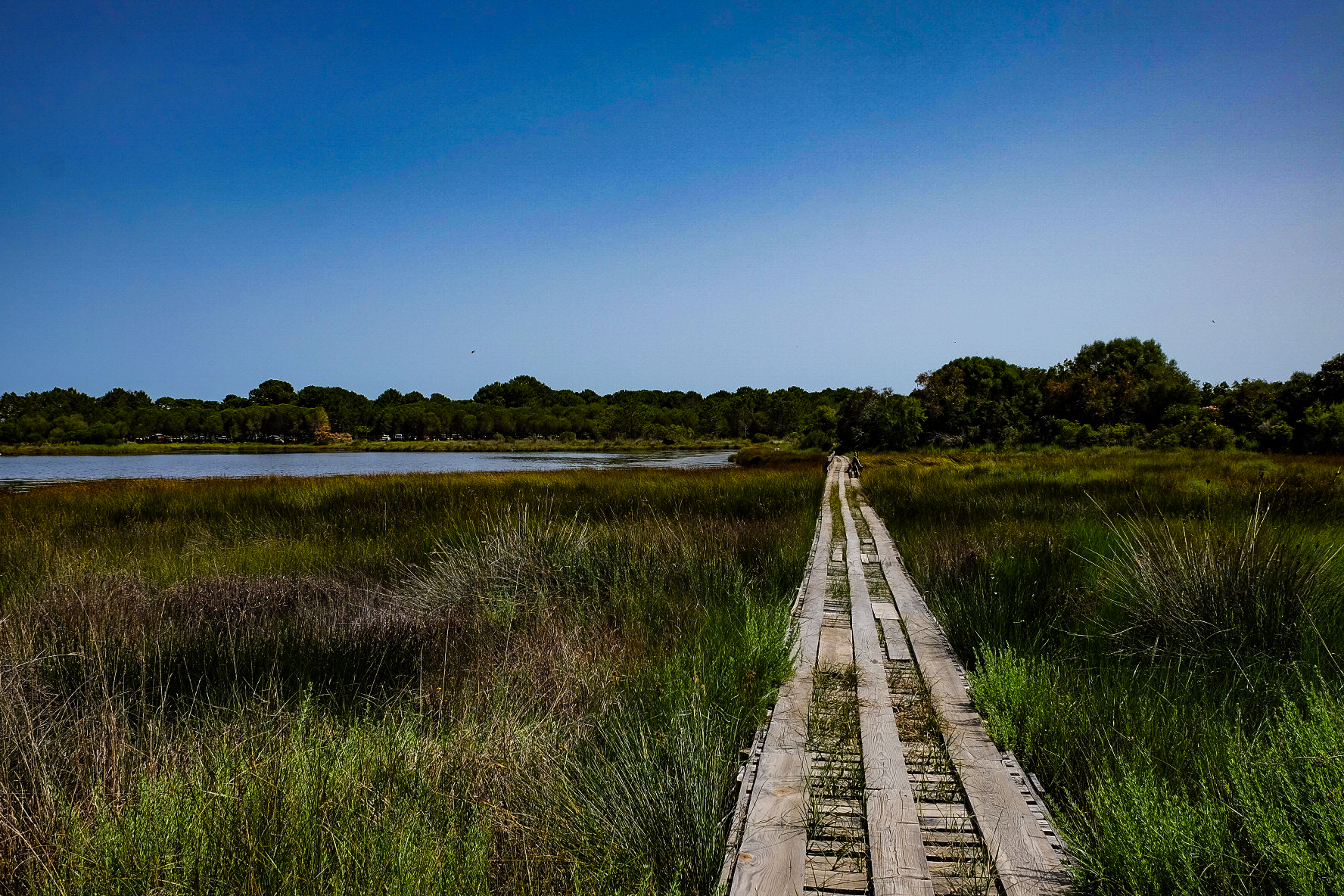 The walkway...