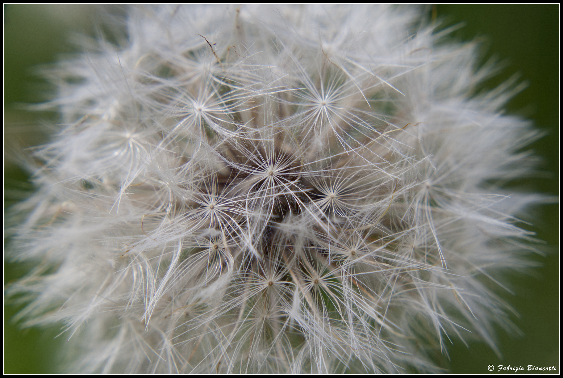Before the breath...