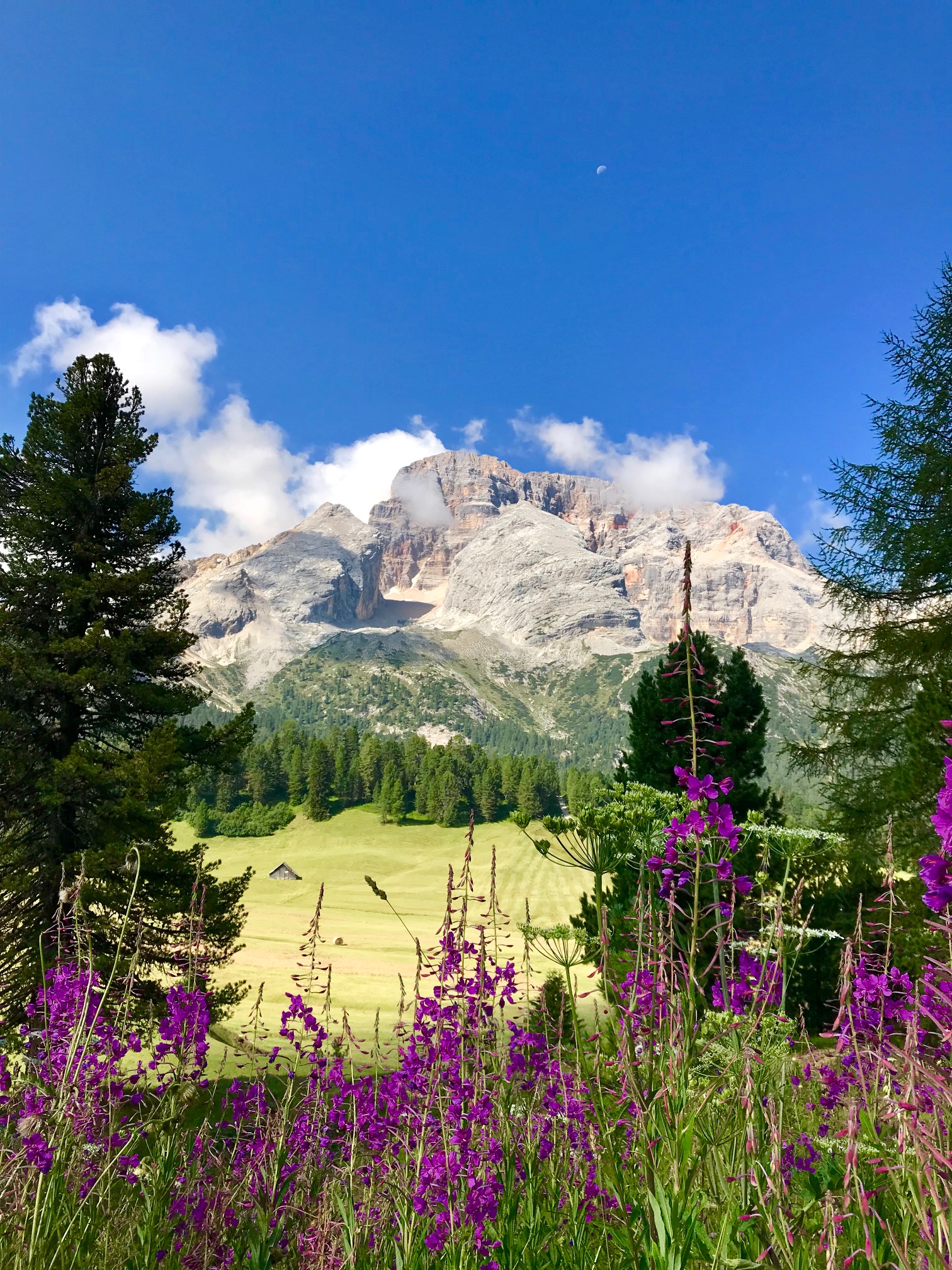 View of the Croda Rossa Dolomites of Sesto...
