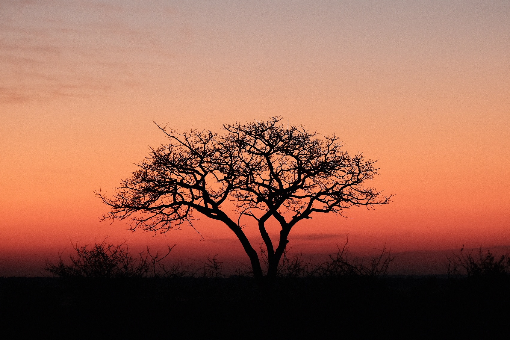 Sunset at Kruger Park...