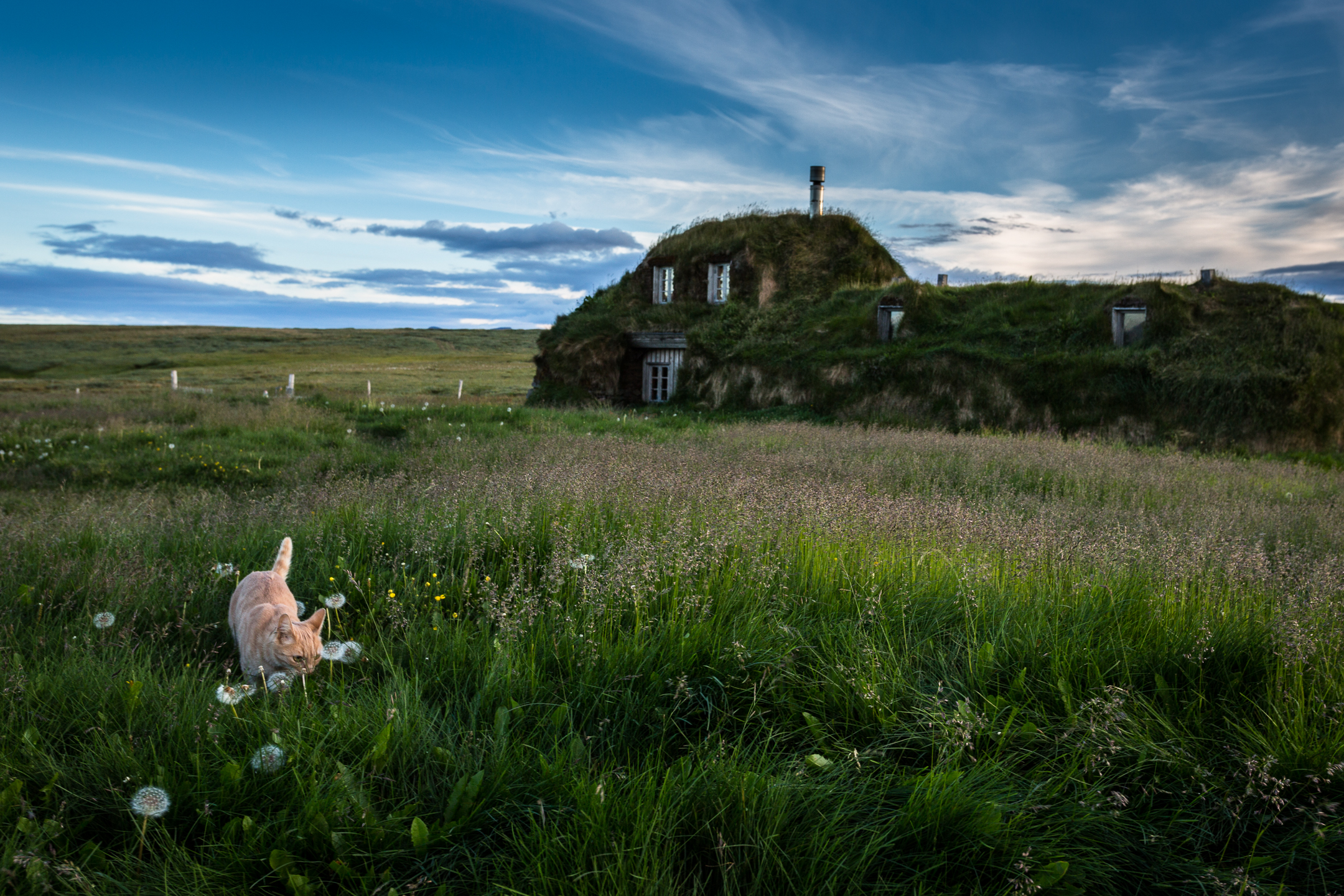 House on the Prairie Iceland...