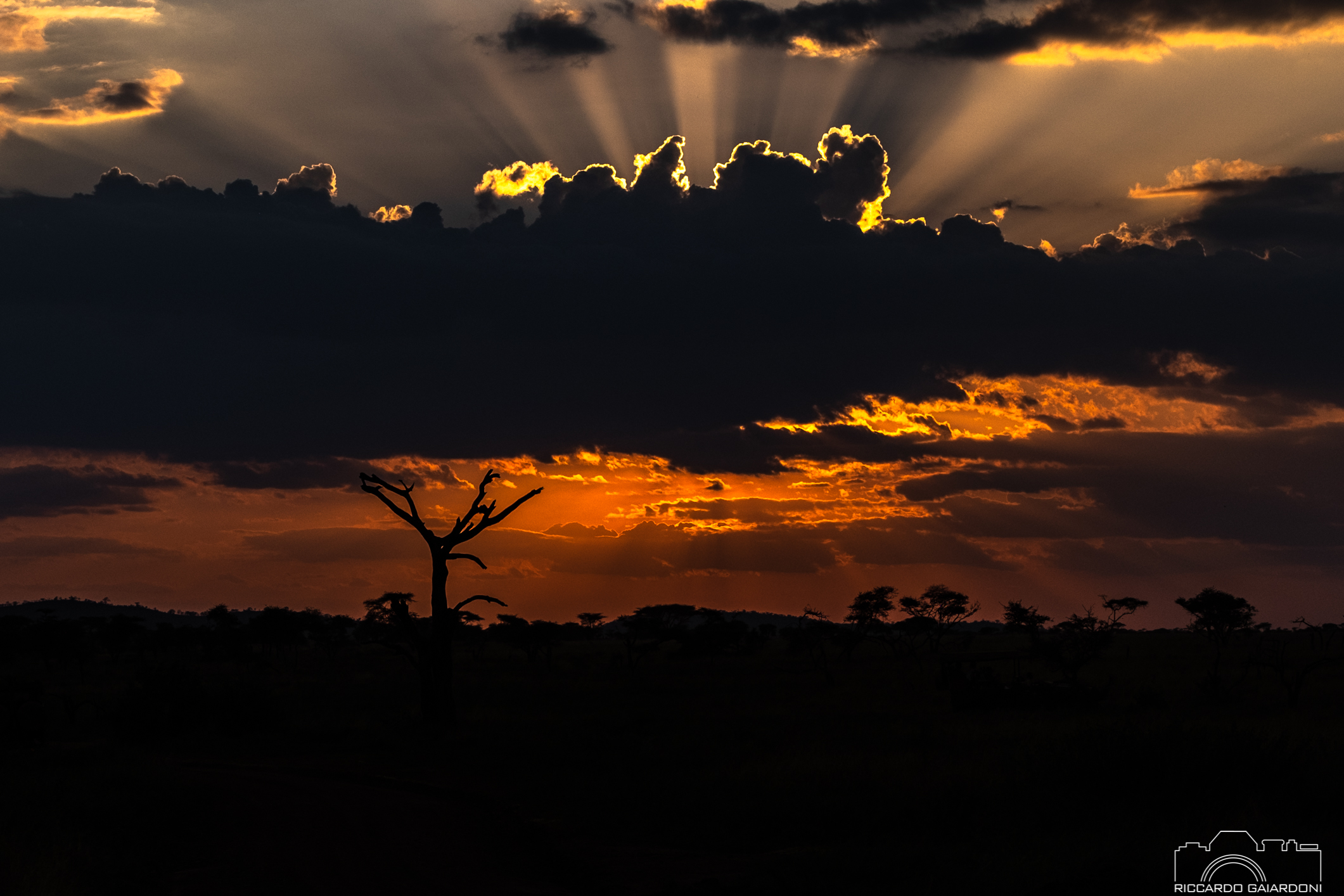 Sunset Masai Mara...