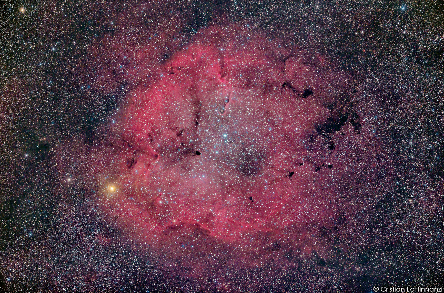 Cepheus nebulae (Elab 2)...