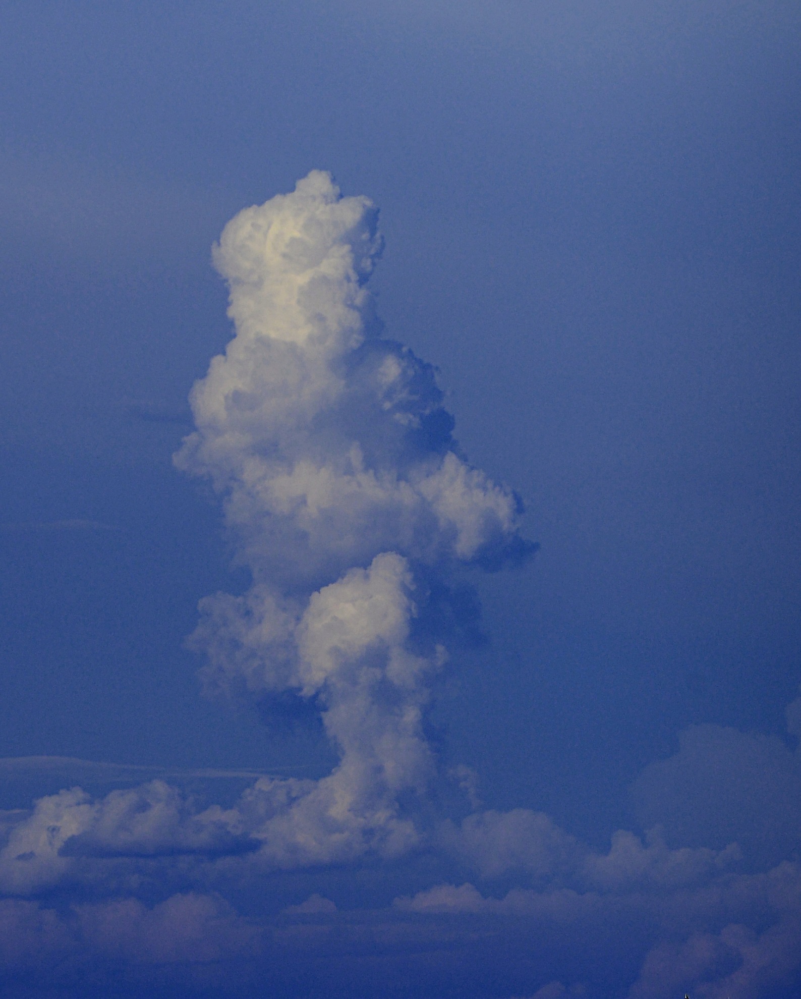 The Samurai Cloud...