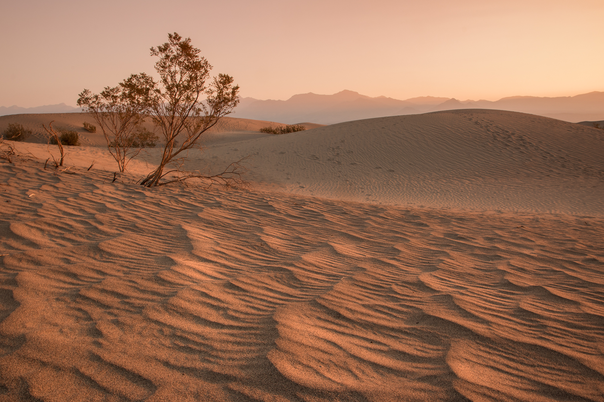 Death Valley Sunrise...