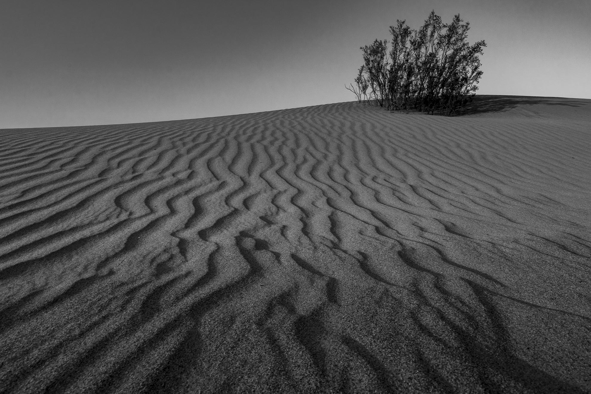 Death Valley black & white...
